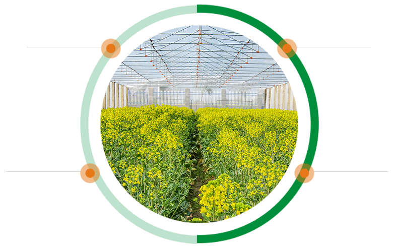 淄博愛肯經(jīng)貿(mào)有限公司